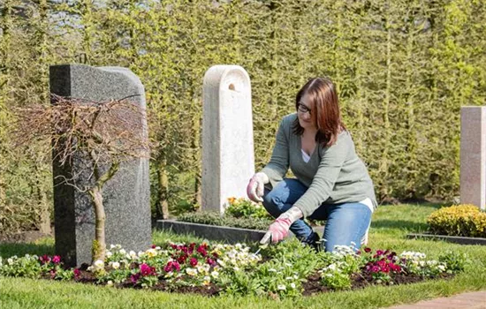 Stilvolles Gedenken – die Grabbepflanzung