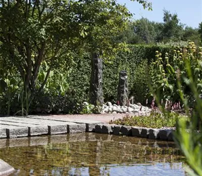 Der Wassergarten - Harmonie und Bewegung zugleich Der Wassergarten - Harmonie und Bewegung zugleich