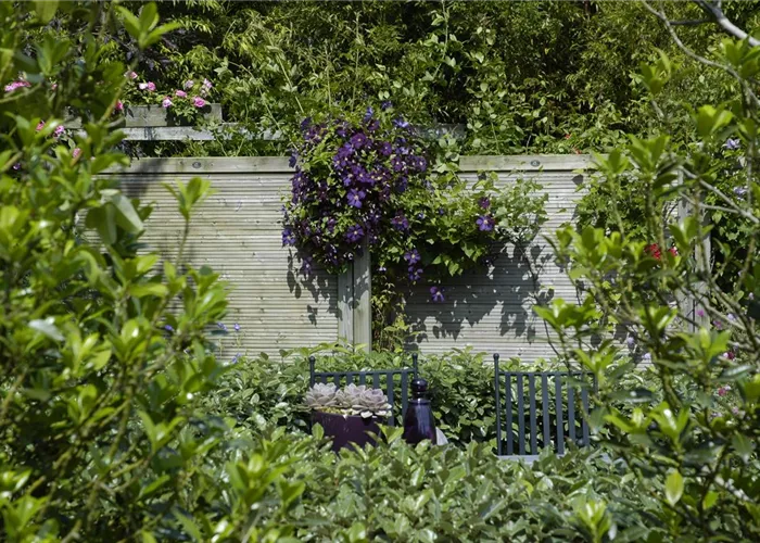Nachbarn? Nein, danke! Der passende Sichtschutz für den Garten